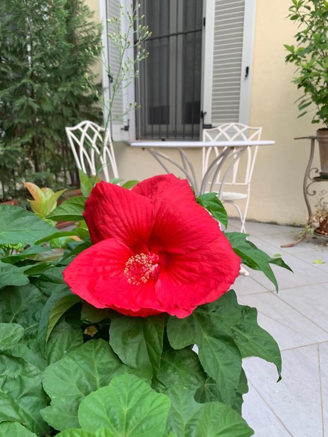 La Terrazza Vercelli Bed & Charme Dış mekan fotoğraf