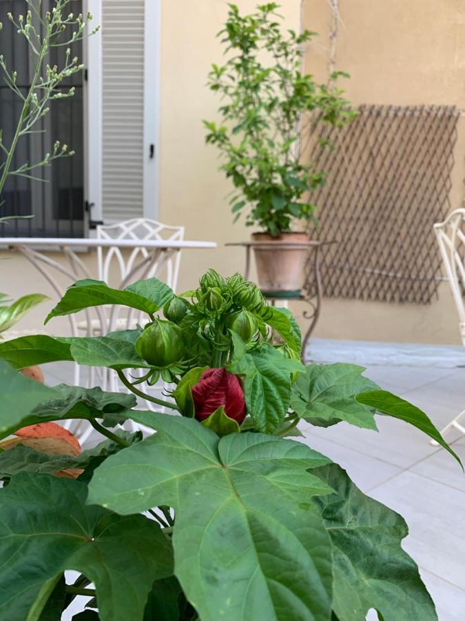 La Terrazza Vercelli Bed & Charme Dış mekan fotoğraf