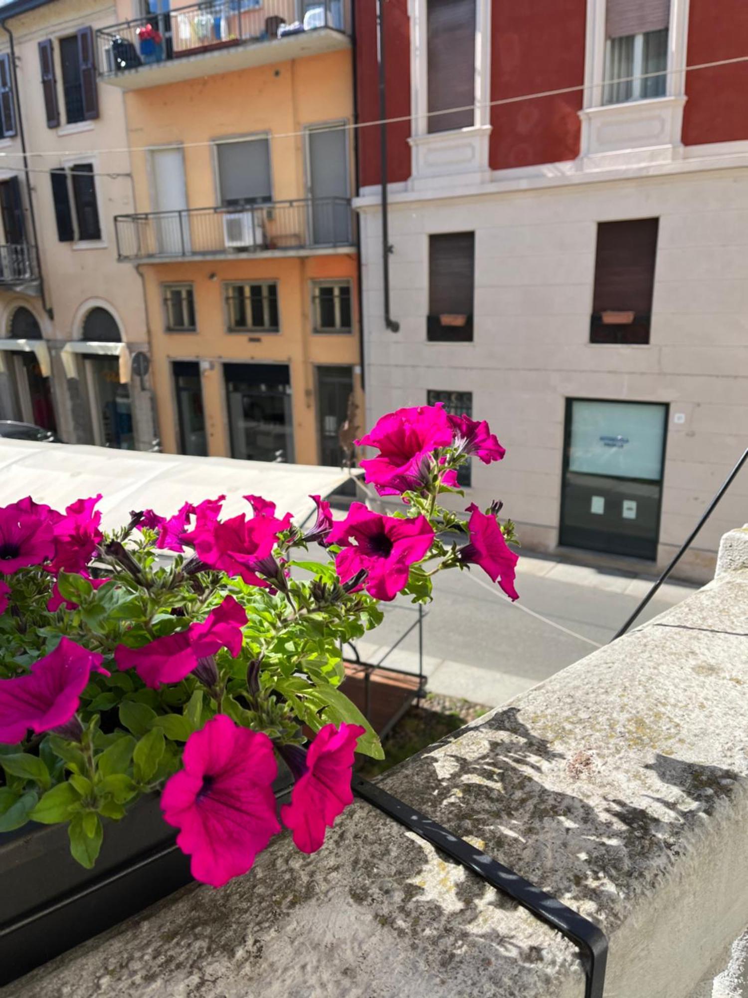 La Terrazza Vercelli Bed & Charme Dış mekan fotoğraf